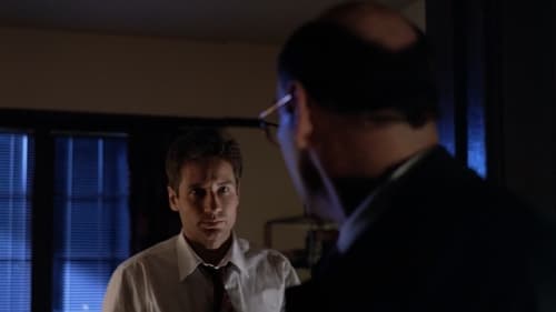 movies/2024-09-06/the-x-files-tPZZtFEkFnna1v0pQLgh0mTEbJr.jpg
