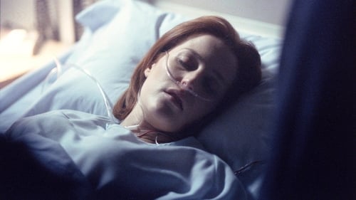 movies/2024-09-06/the-x-files-vBUVJN9YipBqgbdjjXy9vxOr4rD.jpg