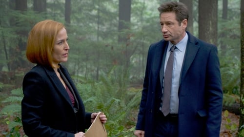 movies/2024-09-06/the-x-files-vrVdcA6yHLPMzQzzwwrXzkLwBDI.jpg