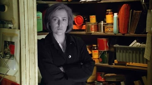 movies/2024-09-06/the-x-files-wKOVz9U9dCeyj693QGQfwzYJpPd.jpg