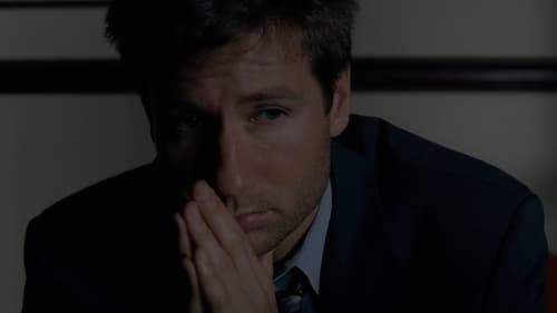 movies/2024-09-06/the-x-files-wQRBlMoHGwtuA5IutvLsBLSqeLt.jpg