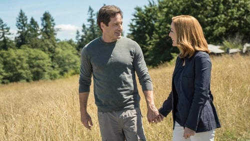 movies/2024-09-06/the-x-files-wXeJz4DcoWj7qK1EhuLmxyBqMnW.jpg