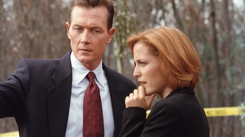 movies/2024-09-06/the-x-files-xcjZ8aM9wL02ZmhqxW5nvCqwAOe.jpg