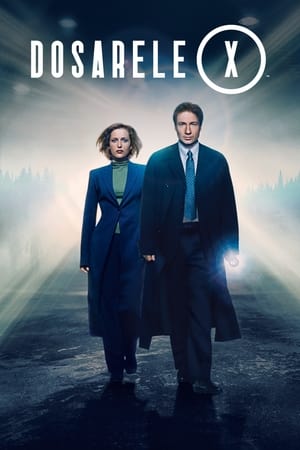 Dosarele X - The X-Files (1993)