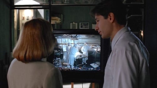 movies/2024-09-06/the-x-files-yLgBgd2jo1WWsaKYGqAuRb8Cq1b.jpg