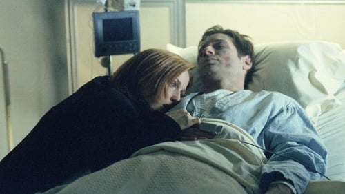 movies/2024-09-06/the-x-files-z8d3D5BAAsqD106xYeO39edVNN6.jpg
