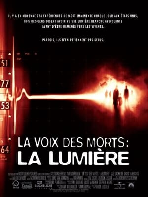 Interférences 2 - White Noise 2: The Light (2007)