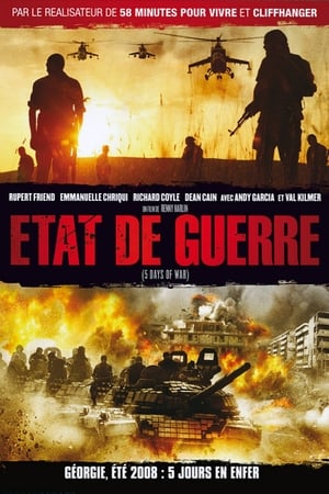 État de guerre - 5 Days of War (2011)