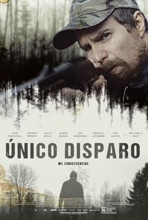 Al primer disparo - A Single Shot (2013)