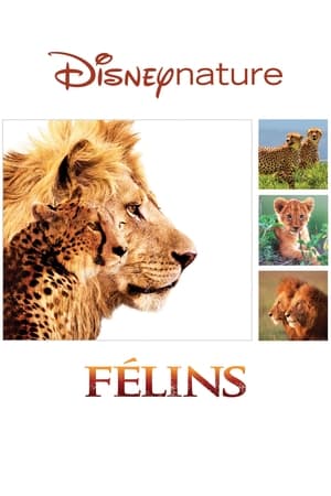 Félins - African Cats (2011)