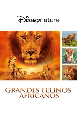 Felinos de África - African Cats (2011)
