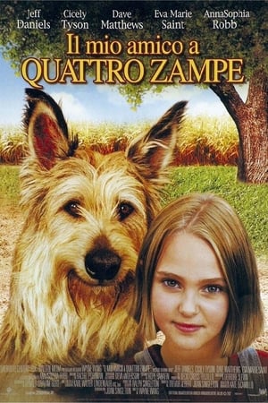 Il mio amico a quattro zampe - Because of Winn-Dixie (2005)