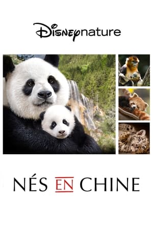 Né en Chine - Born in China (2016)