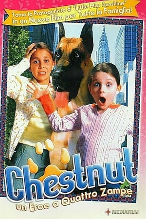 Chestnut - L'eroe di Central Park - Chestnut: Hero of Central Park (2004)