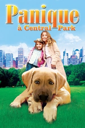 Panique à Central Park - Chestnut: Hero of Central Park (2004)