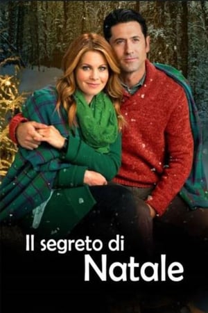 Il segreto di Natale - Christmas Under Wraps (2014)
