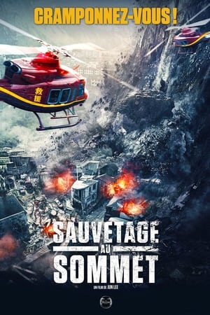 Sauvetage au sommet - Cloudy Mountain (2021)