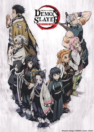 Demon Slayer Kimetsu no Yaiba The Hashira Meeting Arc - Demon Slayer: Kimetsu no Yaiba the Hashira Meeting Arc (2021)