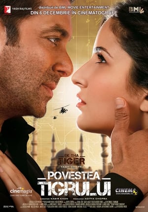 Povestea Tigrului - Ek Tha Tiger (2012)