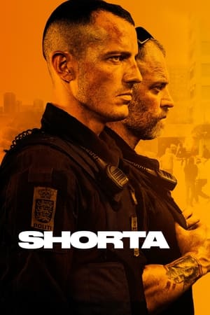 Enforcement (2020)