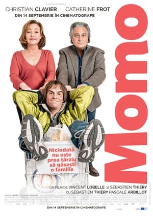 Finding Momo (2017)