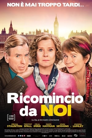 Ricomincio da noi - Finding Your Feet (2017)