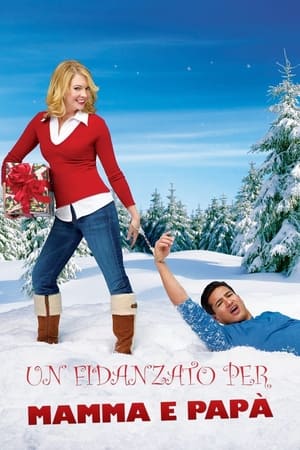 Un fidanzato per mamma e papà - Holiday in Handcuffs (2007)