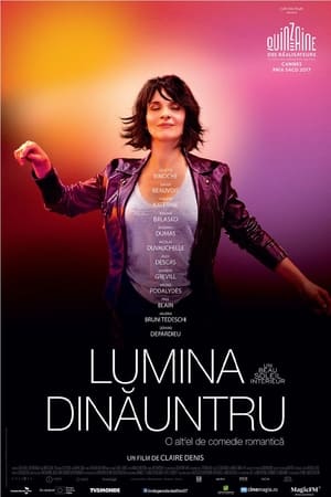 Lumina dinăuntru - Let the Sunshine In (2017)