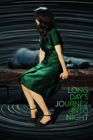 Lungul drum al zilei către noapte - Long Day's Journey into Night (2018)