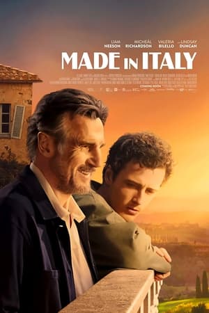 Made in Italy - Una casa per ritrovarsi - Made in Italy (2020)