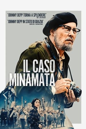 Il caso Minamata - Minamata (2020)