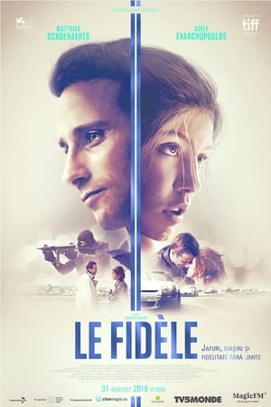 Le Fidèle - Jafuri, maşini şi fidelitate fără limite - Racer and the Jailbird (2017)