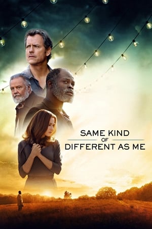 Diferit, la fel ca mine - Same Kind of Different as Me (2017)