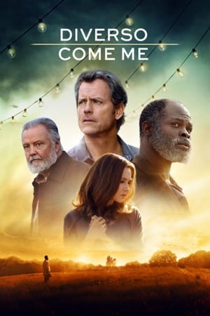Diverso come me - Same Kind of Different as Me (2017)