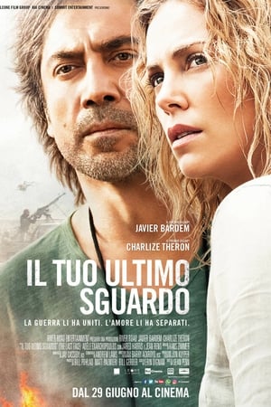 Il tuo ultimo sguardo - The Last Face (2017)