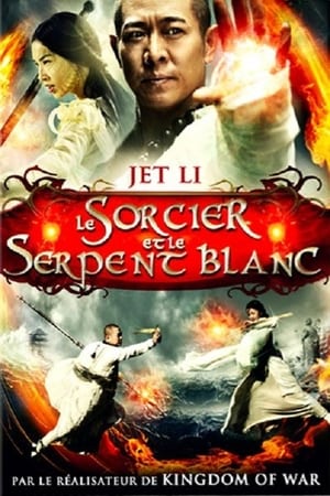 Le Sorcier et le Serpent blanc - The Sorcerer and the White Snake (2011)