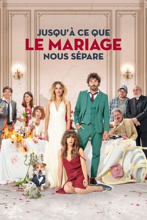 Jusqu'à ce que le mariage nous sépare - The Wedding Unplanner (2020)