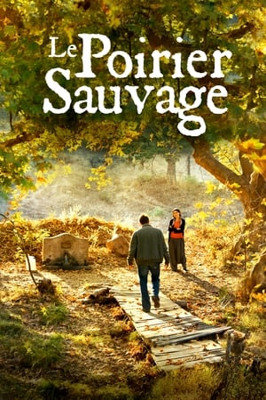 Le poirier sauvage - The Wild Pear Tree (2018)