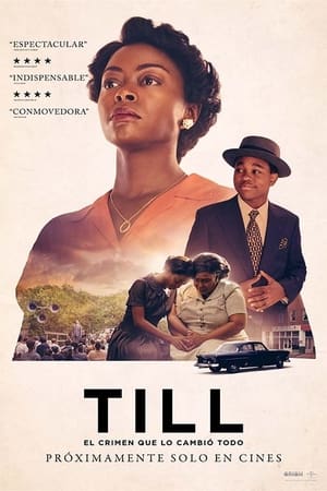 Till, el crimen que lo cambió todo - Till (2022)