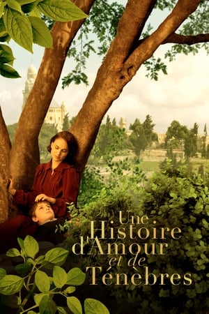 Une histoire d'amour et de ténèbres - A Tale of Love and Darkness (2015)