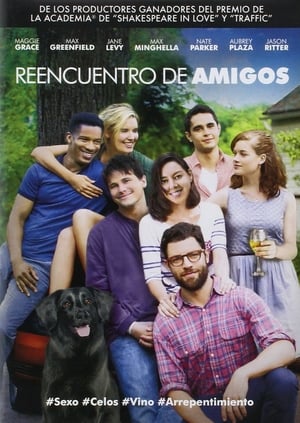 A Propósito de Alex - About Alex (2014)