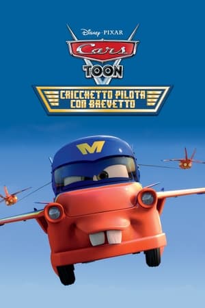 Cricchetto pilota con brevetto - Air Mater (2011)