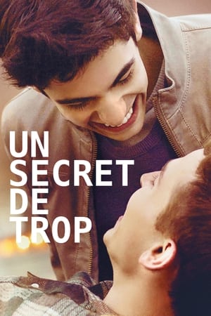 Un secret de trop - Akron (2015)
