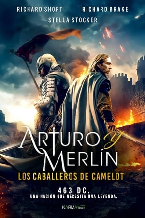 Arturo & Merlin: Reyes de Camelot - Arthur & Merlin: Knights of Camelot (2020)