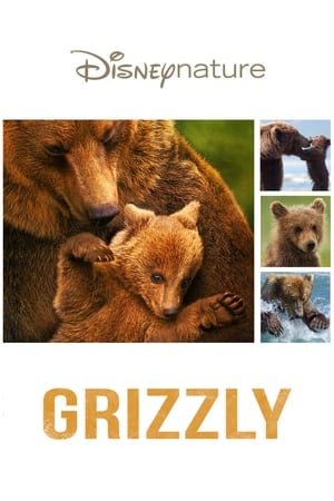 Grizzly - Bears (2014)