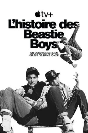 L’histoire des Beastie Boys - Beastie Boys Story (2020)