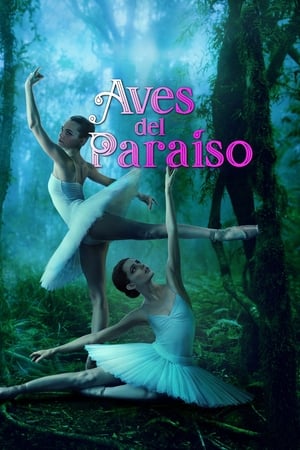 Aves del paraíso - Birds of Paradise (2021)