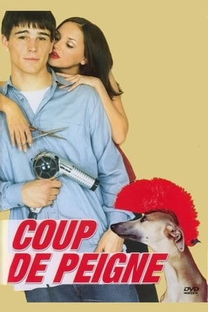 Coup de peigne - Blow Dry (2001)