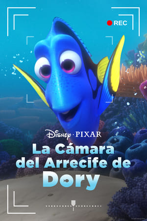 El arrecife de Dory - Dory's Reef Cam (2020)