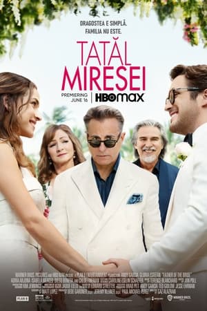 Tatăl Miresei - Father of the Bride (2022)